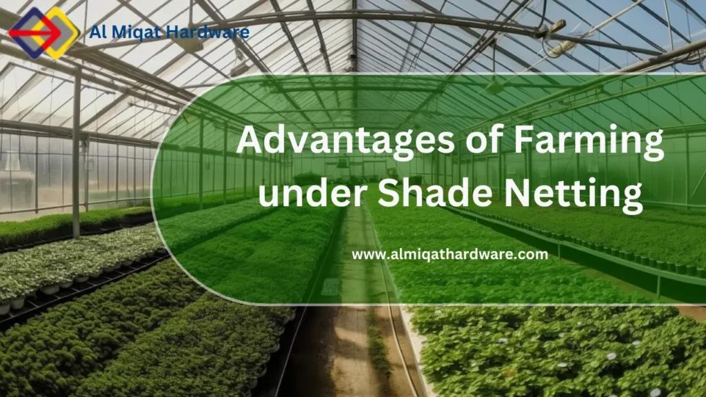 Advantages of Farming under Shade Netting