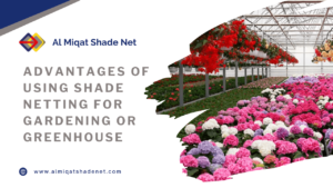 Advantages of Using Shade Netting for Gardening or Greenhouse