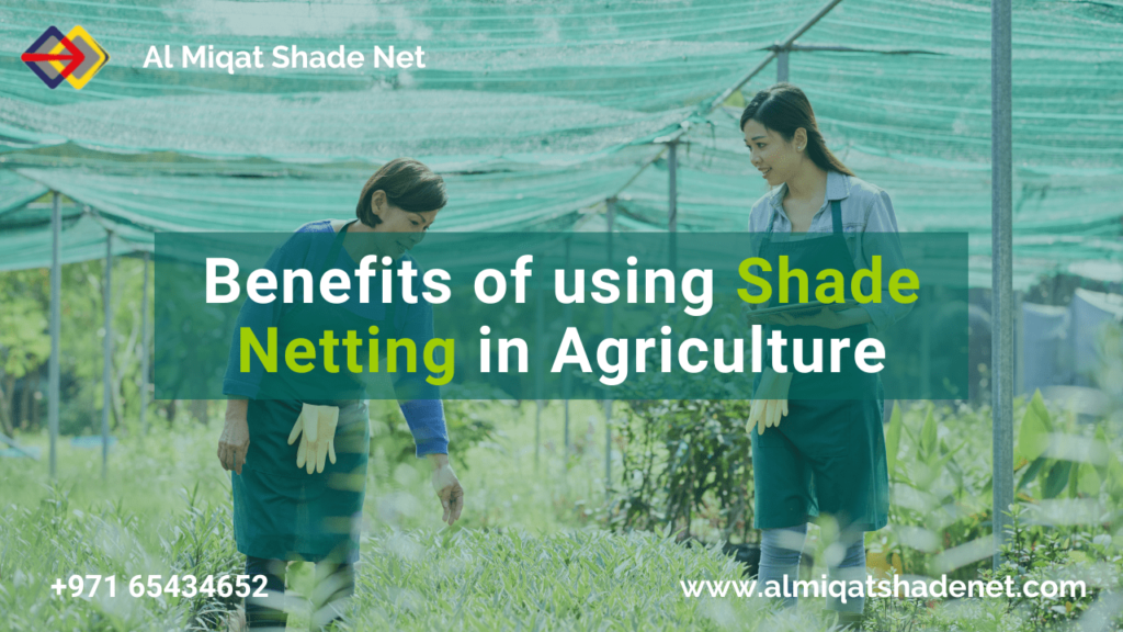 Benefits-of-using-Shade-net-in-Agriculture-min al miqat hardware