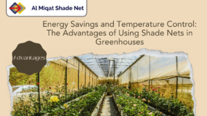 Energy-Savings-and-Temperature-Control-The-Advantages-of-Using-Shade-Nets-in-Greenhouses-Al-Miqat-Shade-Net