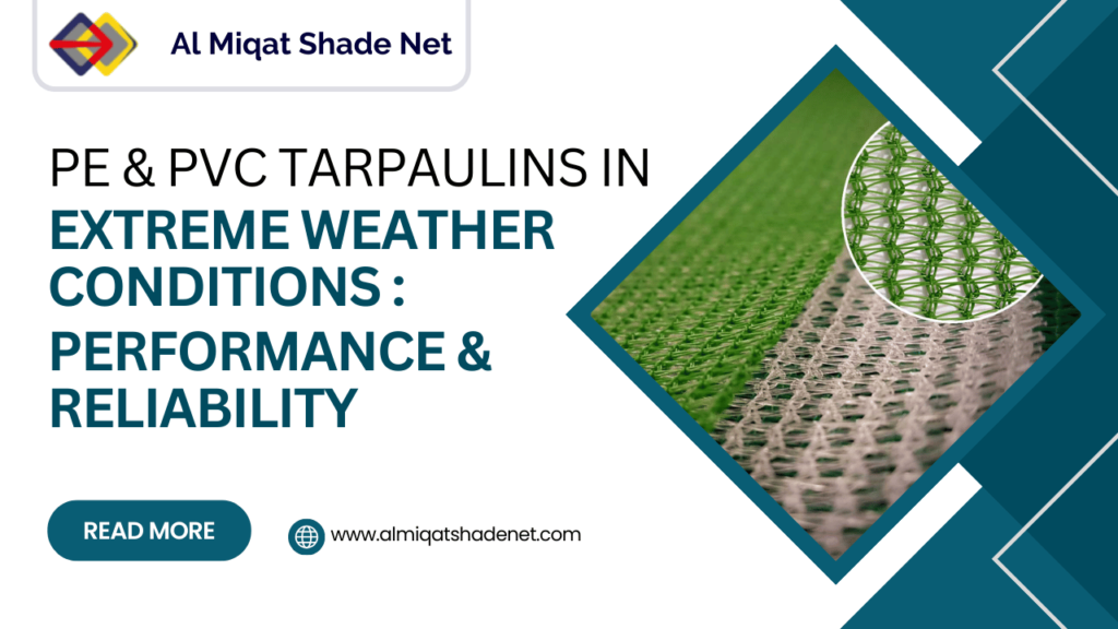 PE and PVC Tarpaulins in Extreme Weather Conditions: Performance and Reliability