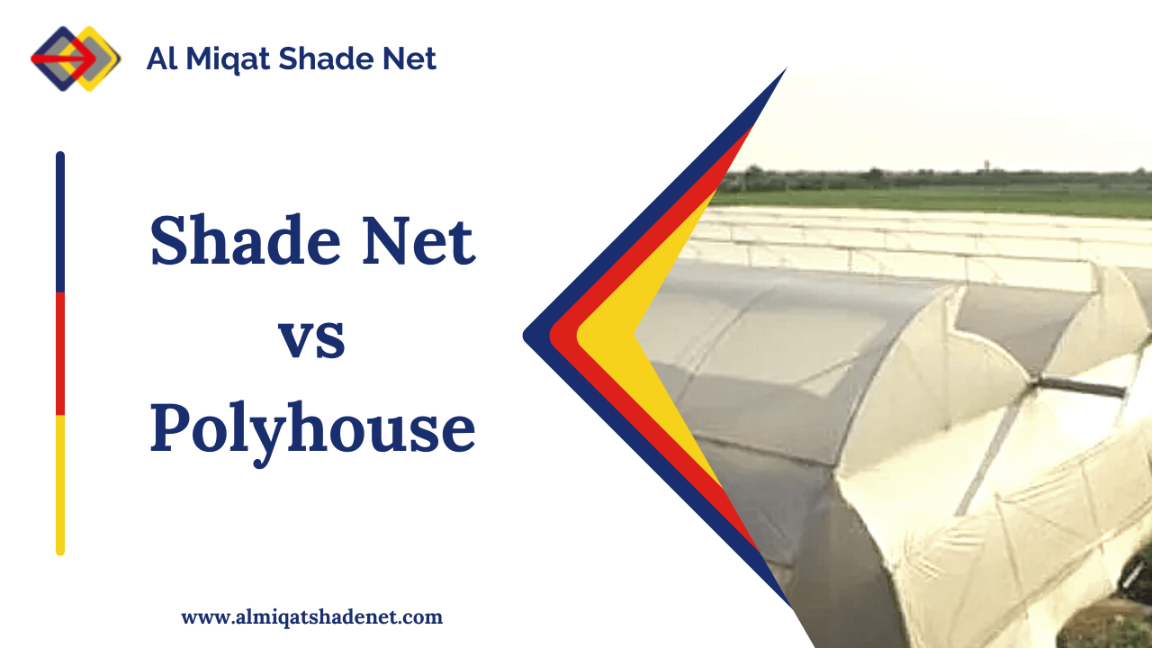 Shade Net vs Polyhouse, Film & UV Plastic | Al Miqat Hardware
