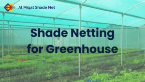 Shade-Netting-for-Greenhouse-sharjah