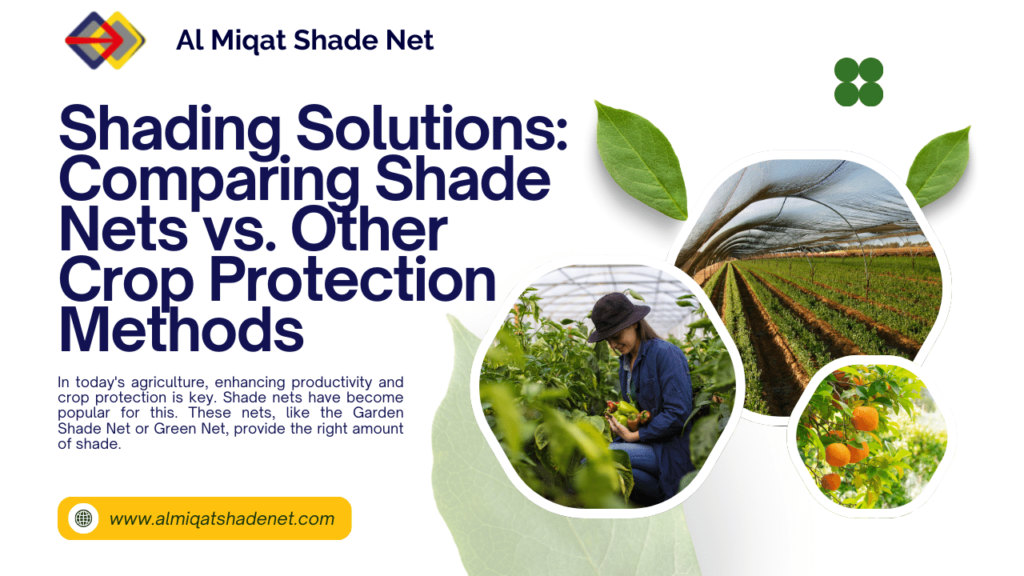 Shading Solutions: Comparing Shade Nets vs. Other Crop Protection Methods