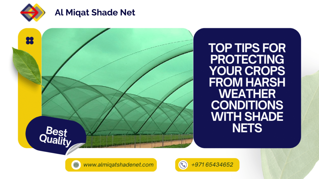 Top Tips for Protecting Your Crops from Harsh Weather Conditions with Shade Nets