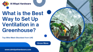 What is the Best Way to Set Up Ventilation in a Greenhouse?