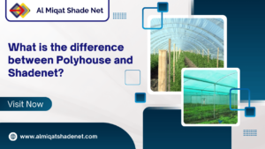 What is the difference between Polyhouse and Shadenet?